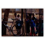 In Afrika ist man selten allein